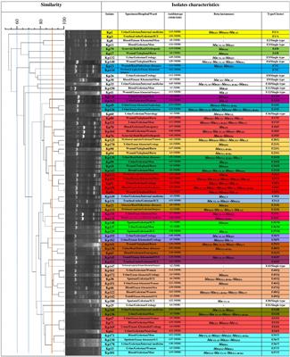 Beta-lactamase determinants and molecular typing of carbapenem-resistant classic and hypervirulent Klebsiella pneumoniae clinical isolates from southwest of Iran